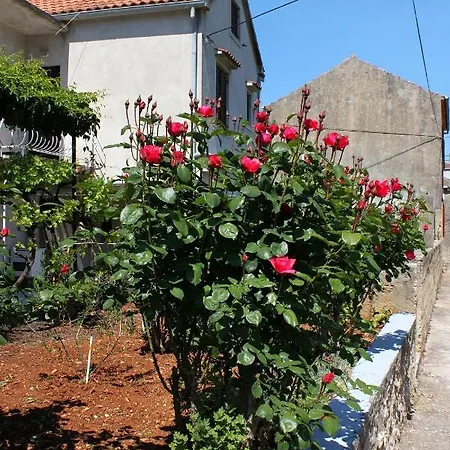 Veli Iz, Iz - 6253 *